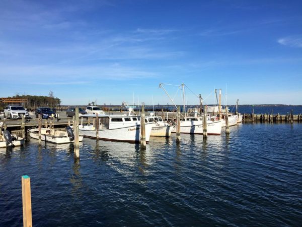 Journey on the Chesapeake